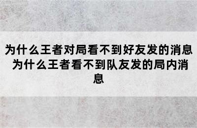 为什么王者对局看不到好友发的消息 为什么王者看不到队友发的局内消息